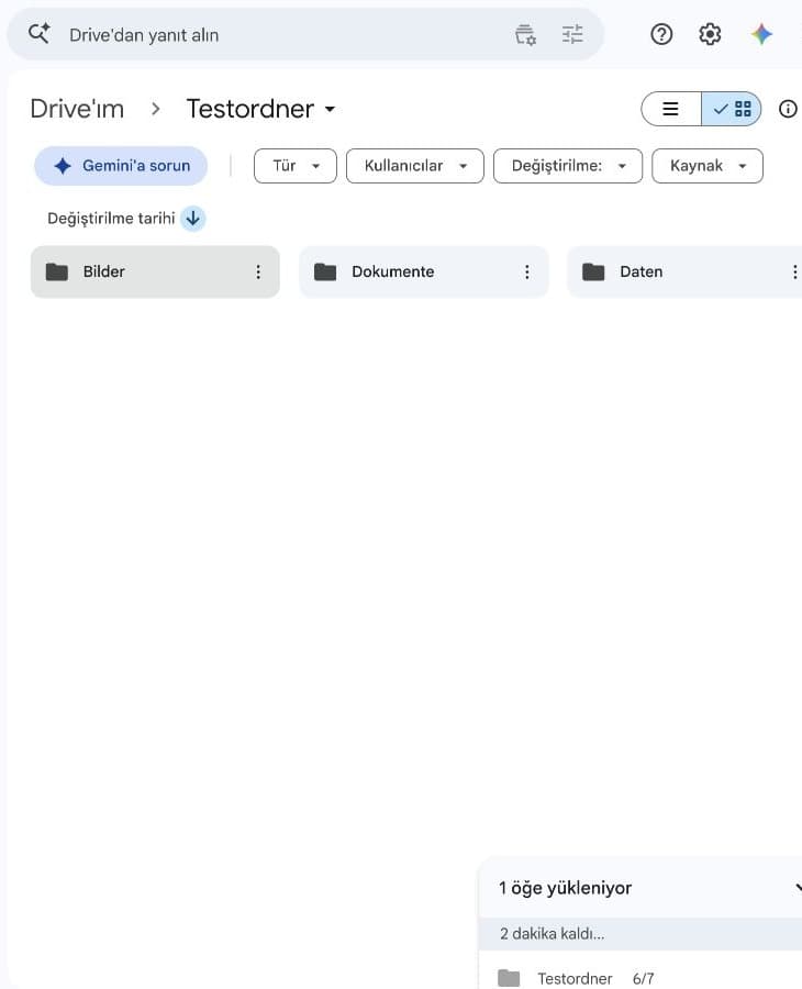 Google Drive-Webupload: 172 MB und 100 % abgeschlossen.